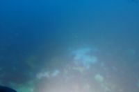 
DSC00049